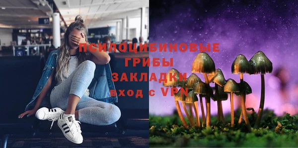 ECSTASY Шали